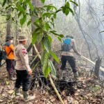 Gerak Cepat Brimob Kalbar, Karhutla di Sintang Ditangani Sebelum Meluas